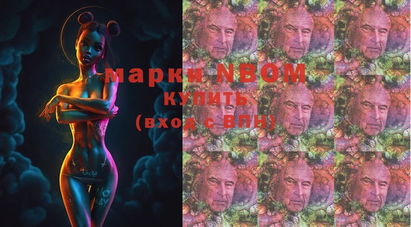 не бодяженный Горно-Алтайск