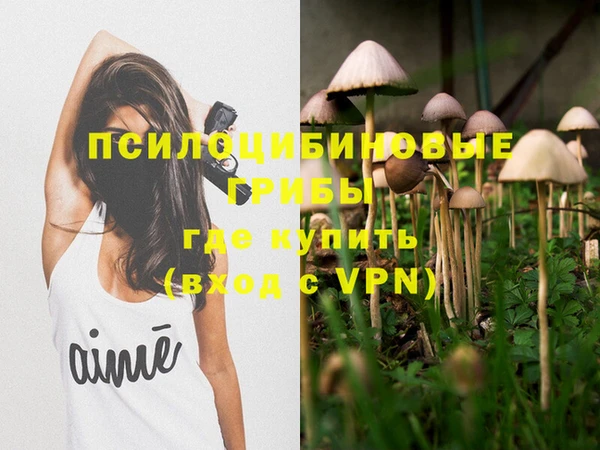 дурь Вязьма