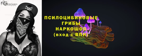 спайс Вяземский