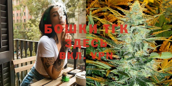 спайс Вяземский