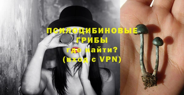 не бодяженный Горно-Алтайск