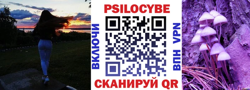 купить наркотик  Меленки  Галлюциногенные грибы Psilocybe 